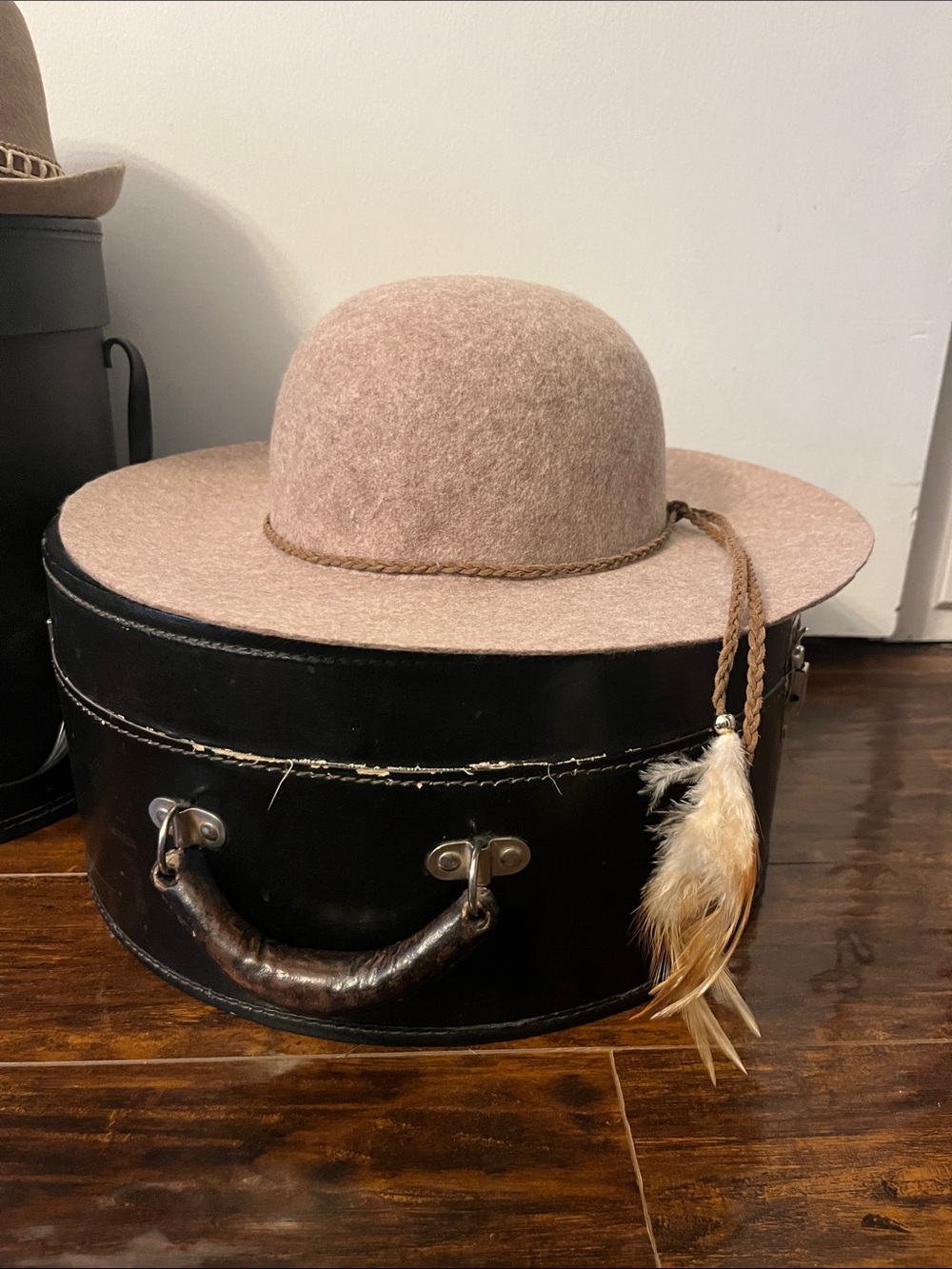 American Eagle Outfitters Blush Taupe Felt Wide-Brim Hat with Feather Trim